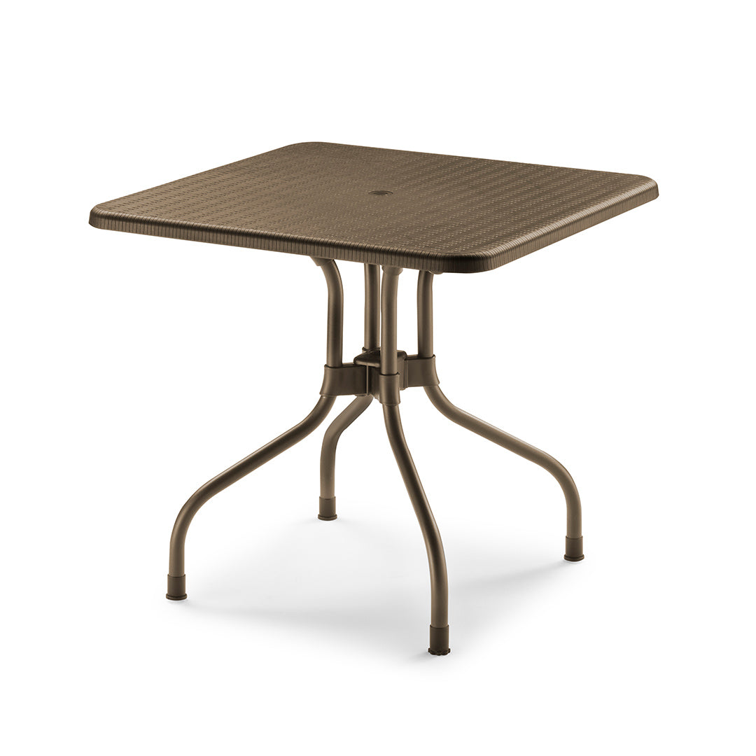 Mesa Olimpo