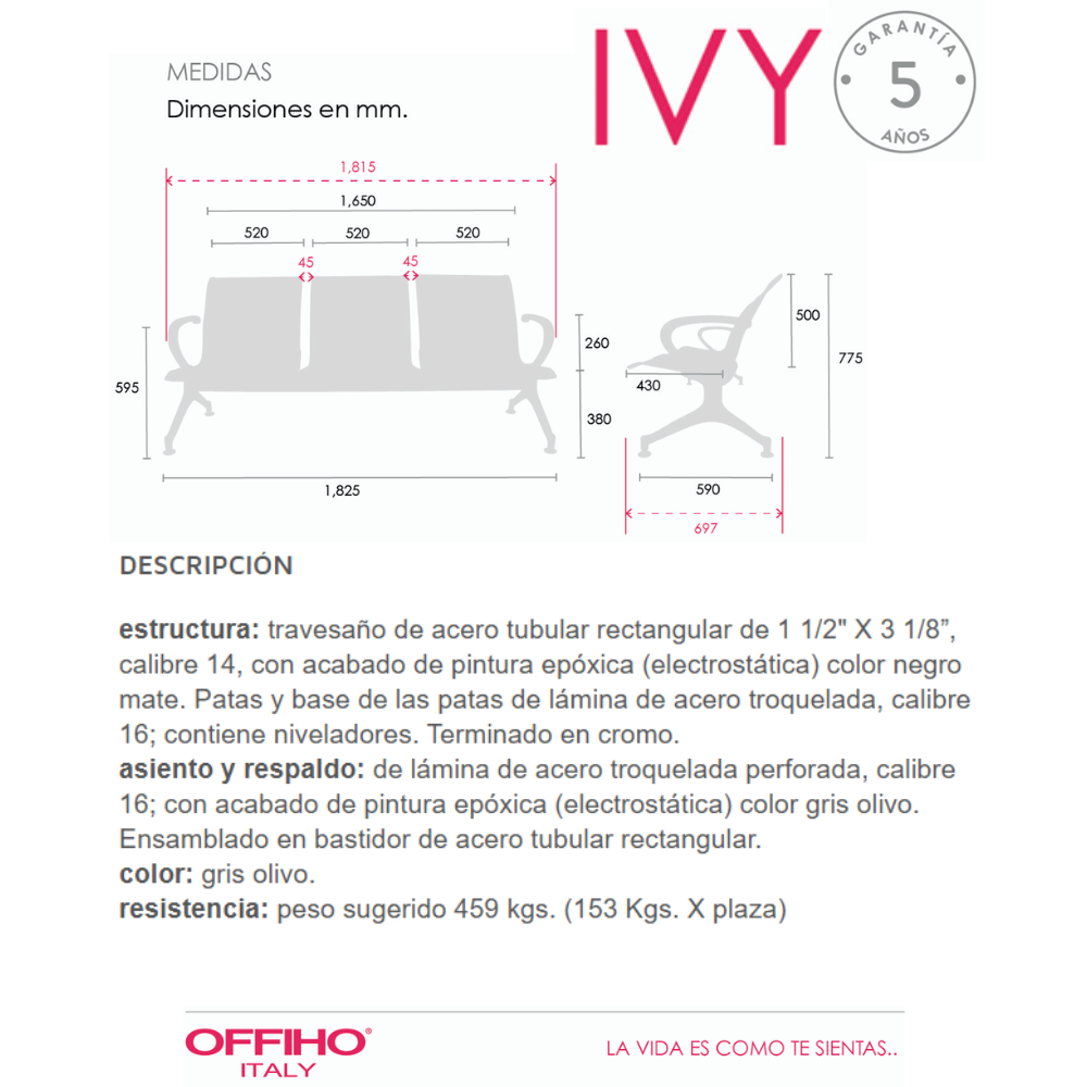 Banca Ivy