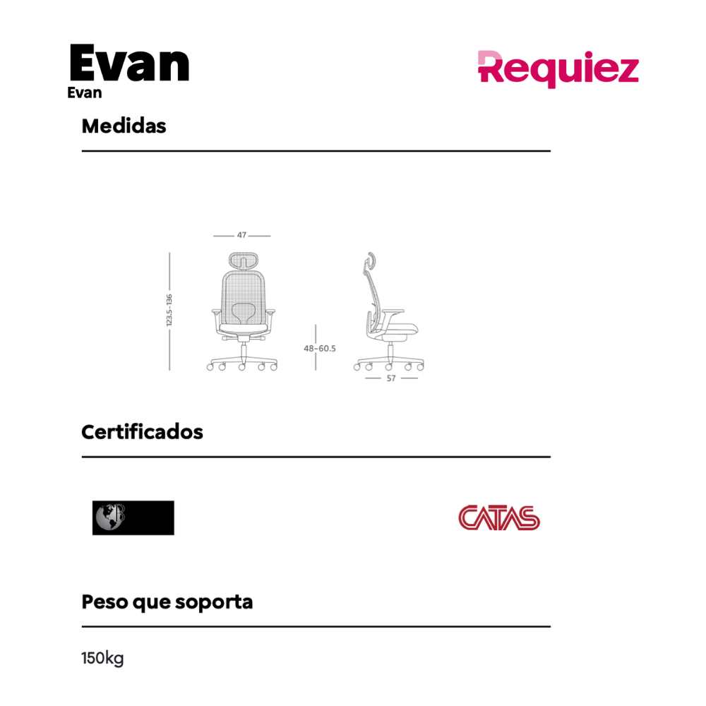 Silla Reclinable Evan