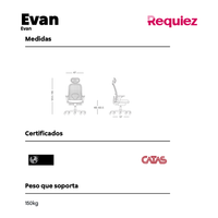 Silla Reclinable Evan