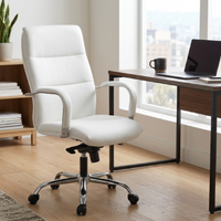 Silla Ejecutiva AB-2012