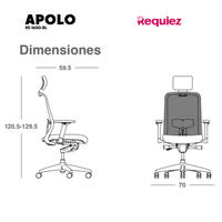 Silla Ejecutiva Apolo RE-1600