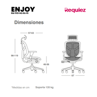 Silla Ejecutiva Enjoy RM-9101