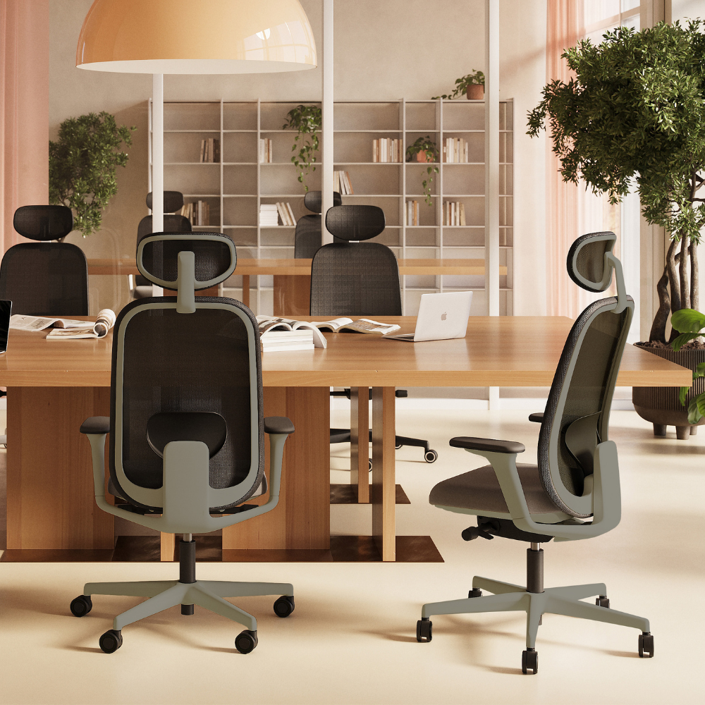 Silla Reclinable Evan