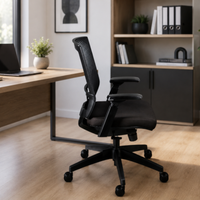 Silla Austria Directiva