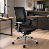 Silla Finisterre Directiva