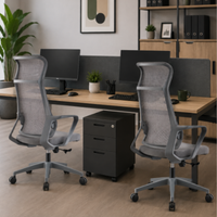 Silla Luxemburgo ejecutiva