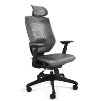 Silla Ejecutiva Ucrania