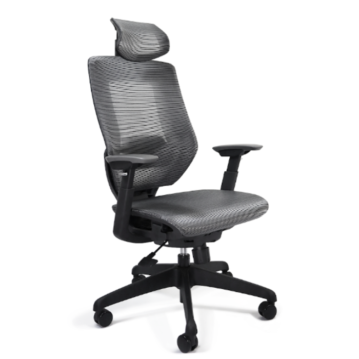 Silla Ejecutiva Ucrania