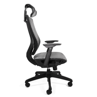 Silla Ejecutiva Ucrania