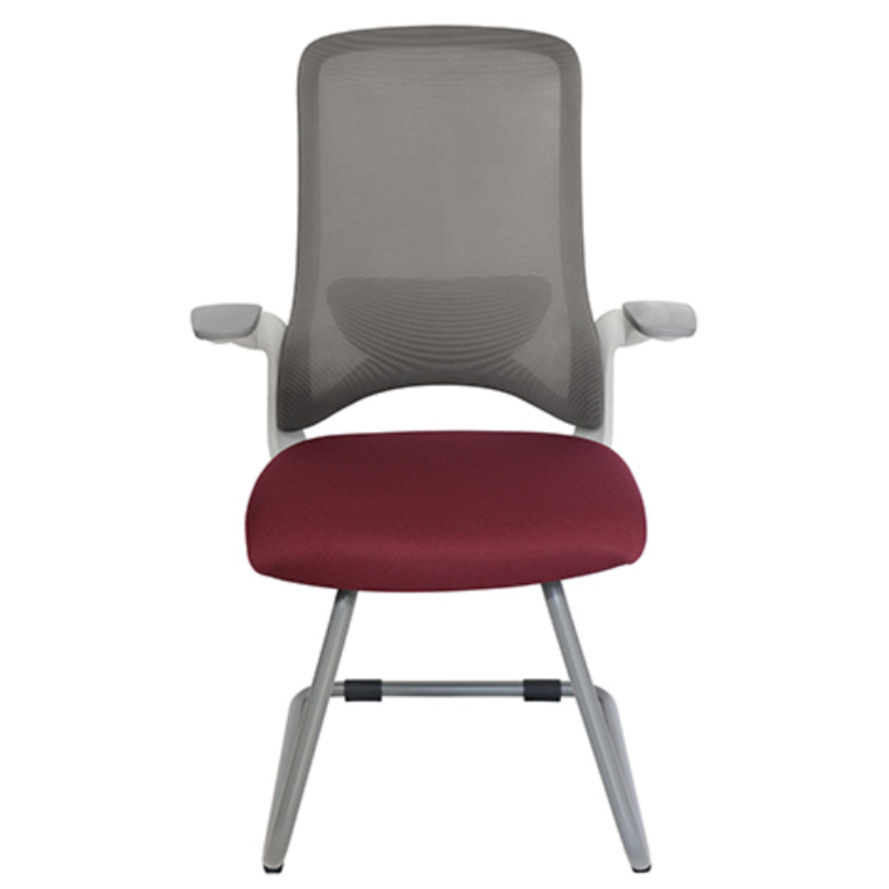 Silla para Visitante Dolphin