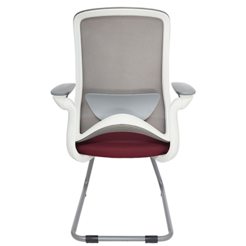 Silla para Visitante Dolphin