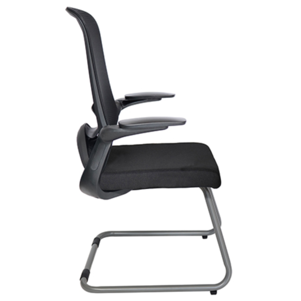 Silla para Visitante Dolphin