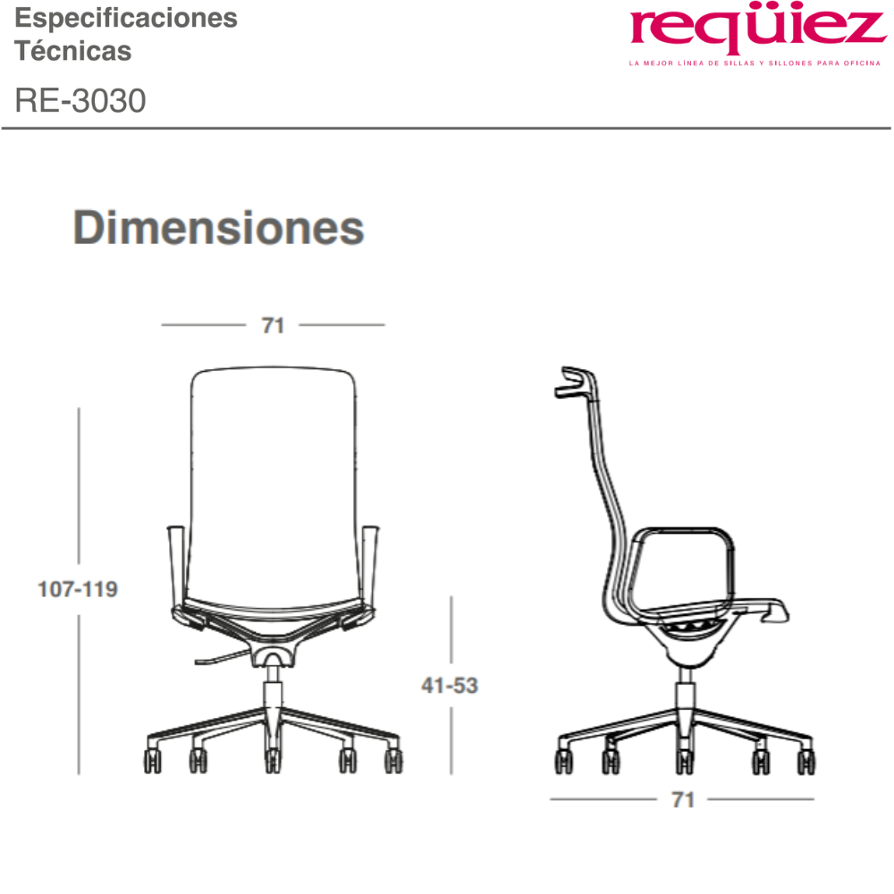 Silla Ejecutiva RE-3030