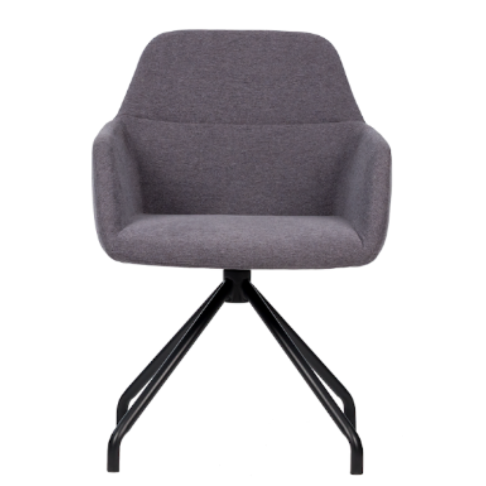 Sillon City Spider