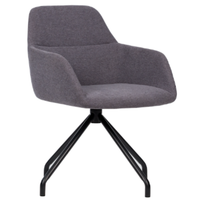 Sillon City Spider