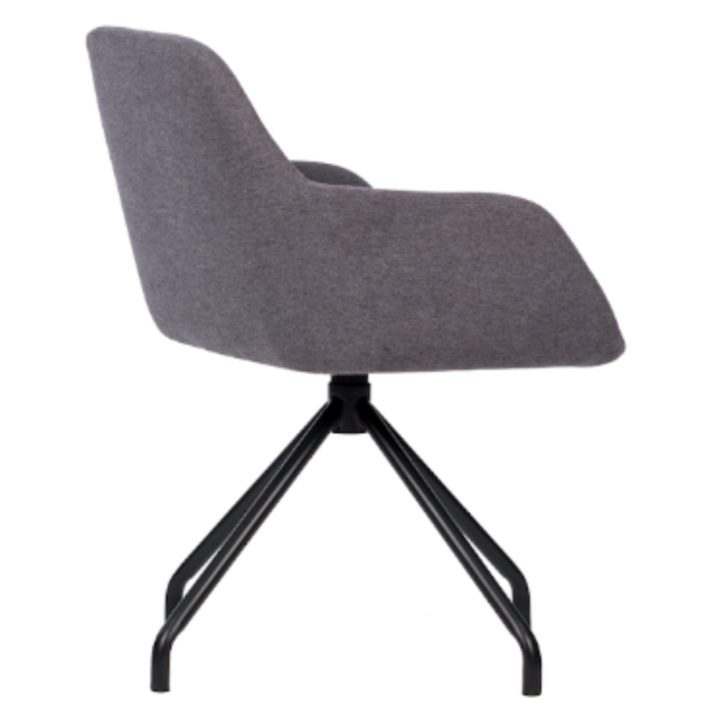 Sillon City Spider