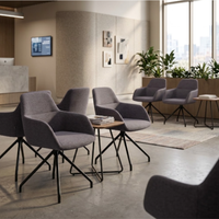 Sillon City Spider