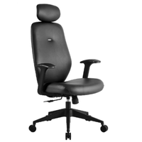 Silla Ejecutiva Class Respaldo Alto