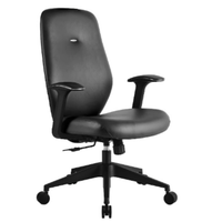 Silla Ejecutiva Class Respaldo Bajo