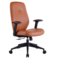 Silla Ejecutiva Class Respaldo Bajo