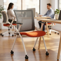 Silla Flex  Con Rodajas