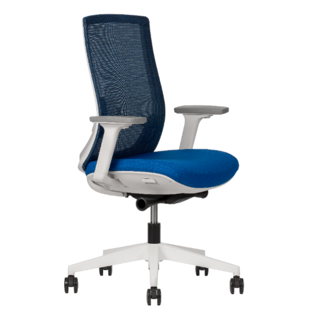 Silla Ejecutiva Polar Respaldo Bajo