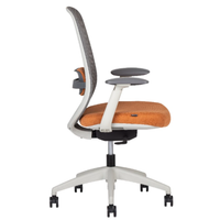 Silla Directiva