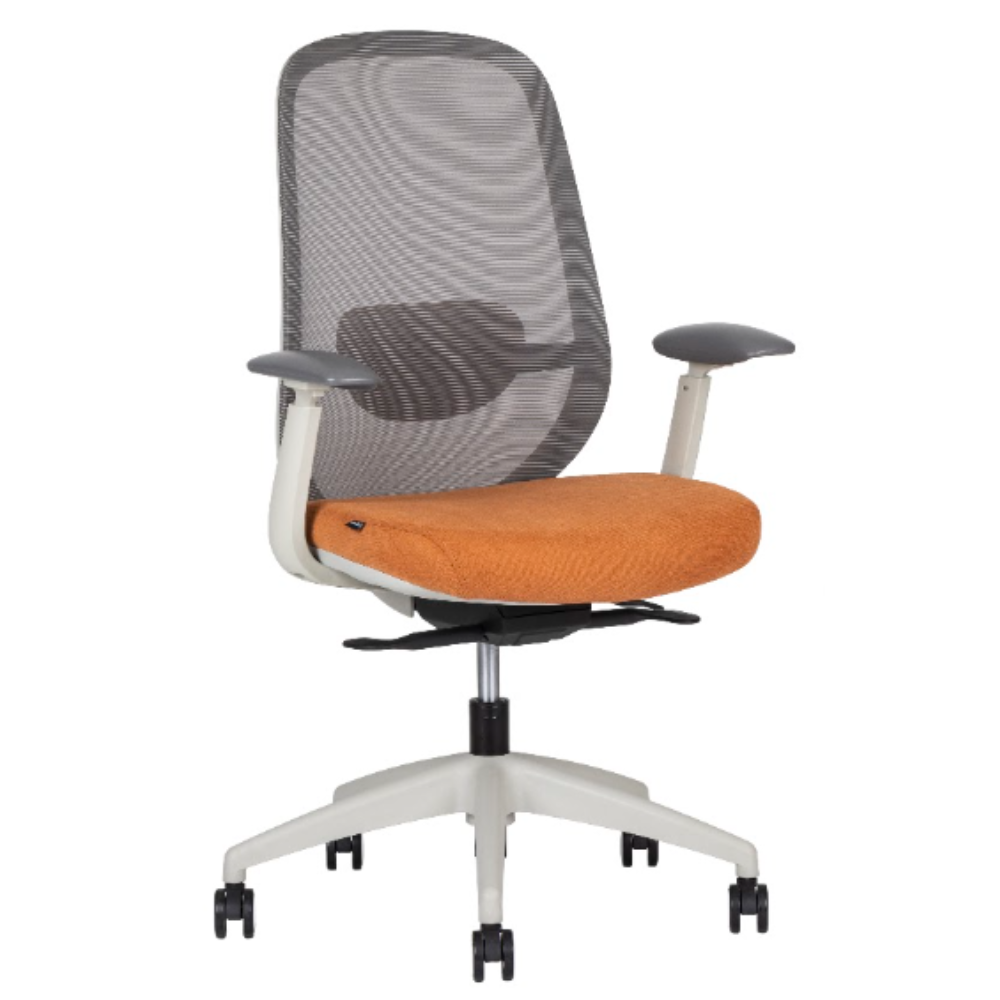 Silla Directiva