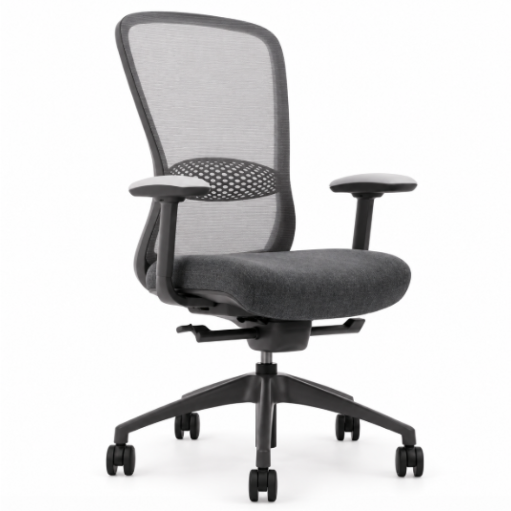 Silla Directiva Omega Respaldo