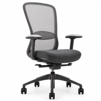 Silla Directiva Omega Respaldo