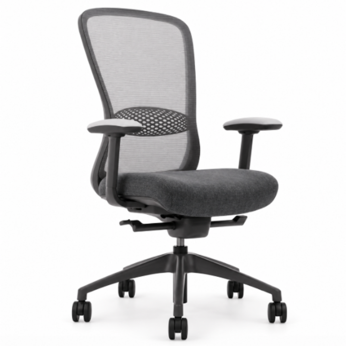 Silla Directiva Omega Respaldo