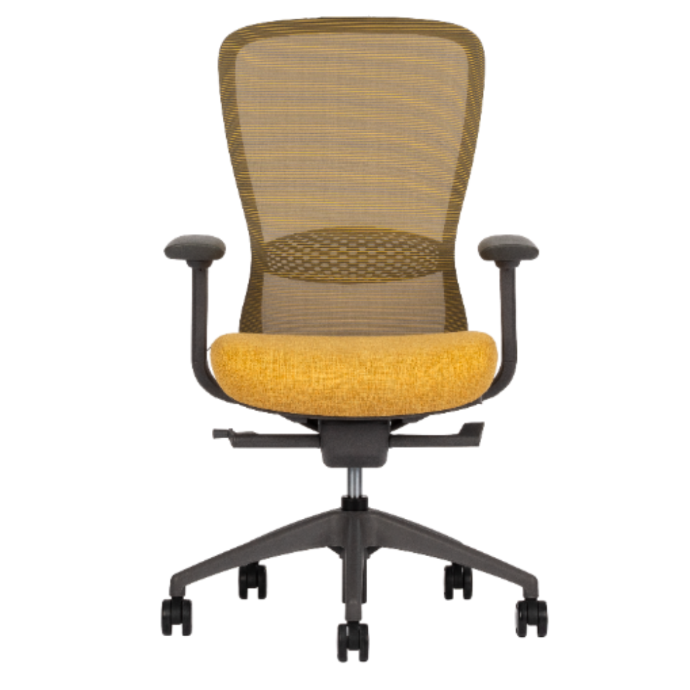 Silla Directiva Omega Respaldo