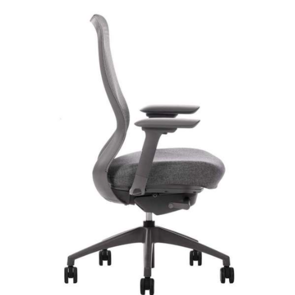 Silla Directiva Omega Respaldo