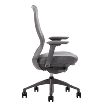 Silla Directiva Omega Respaldo