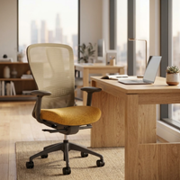 Silla Directiva Omega Respaldo