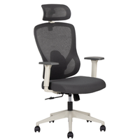 Silla Ejecutiva Pilot
