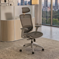 Silla Ejecutiva Soul Express