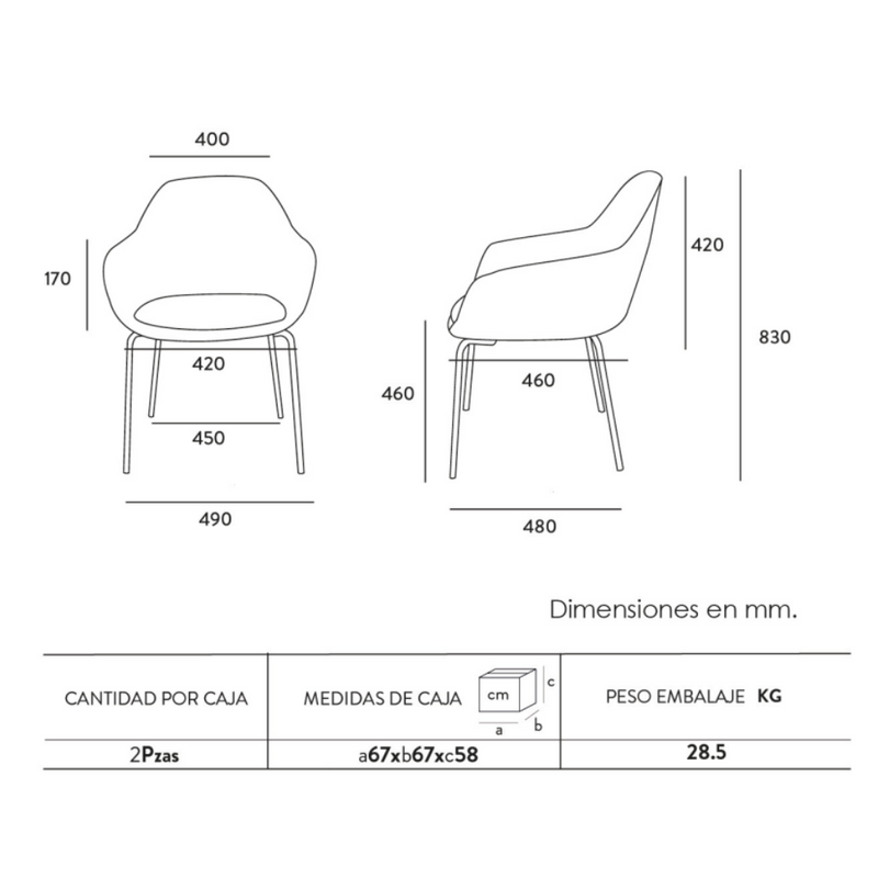 Sillon Fabrizia visitante