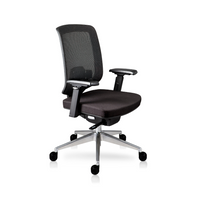 Sillón Claro con Ejecutivo