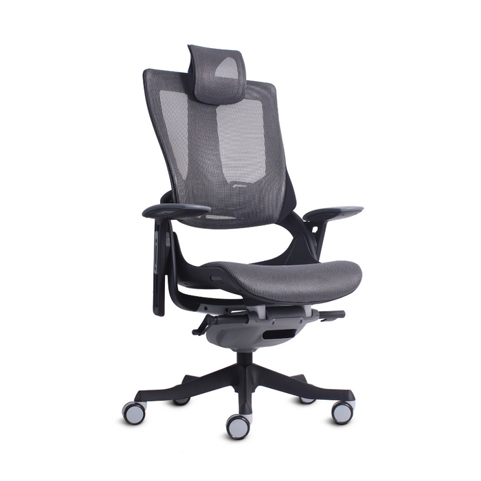 Silla Madagascar Directiva