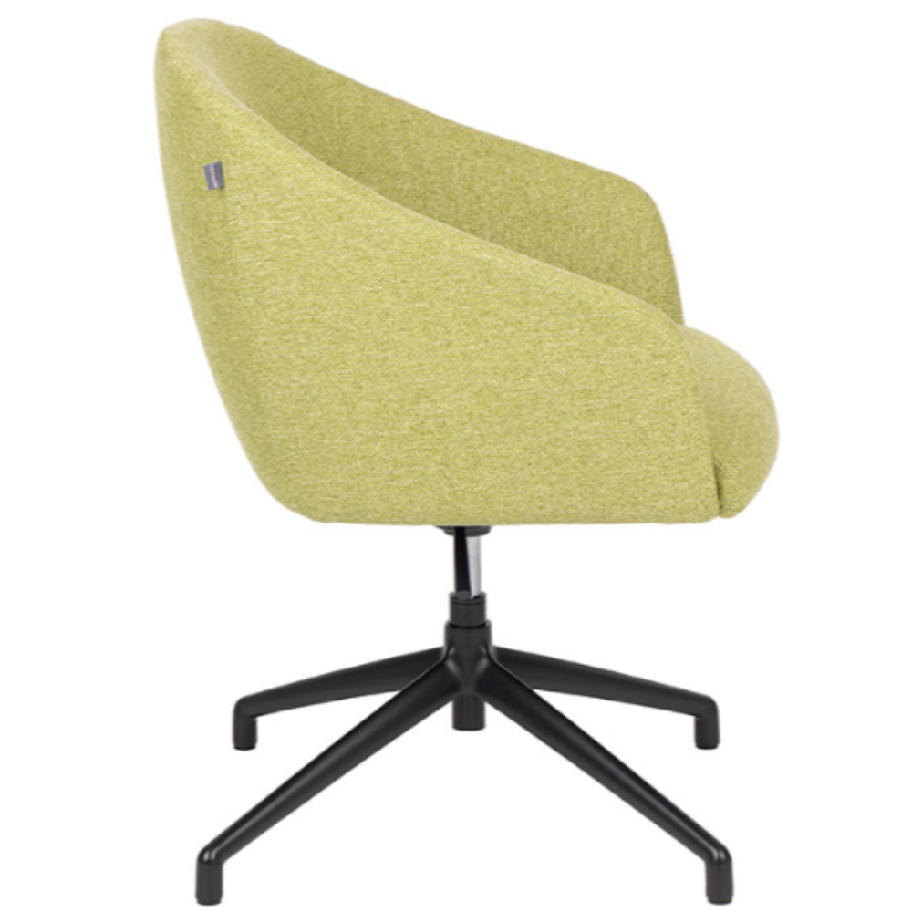 Silla Edge Base Spider
