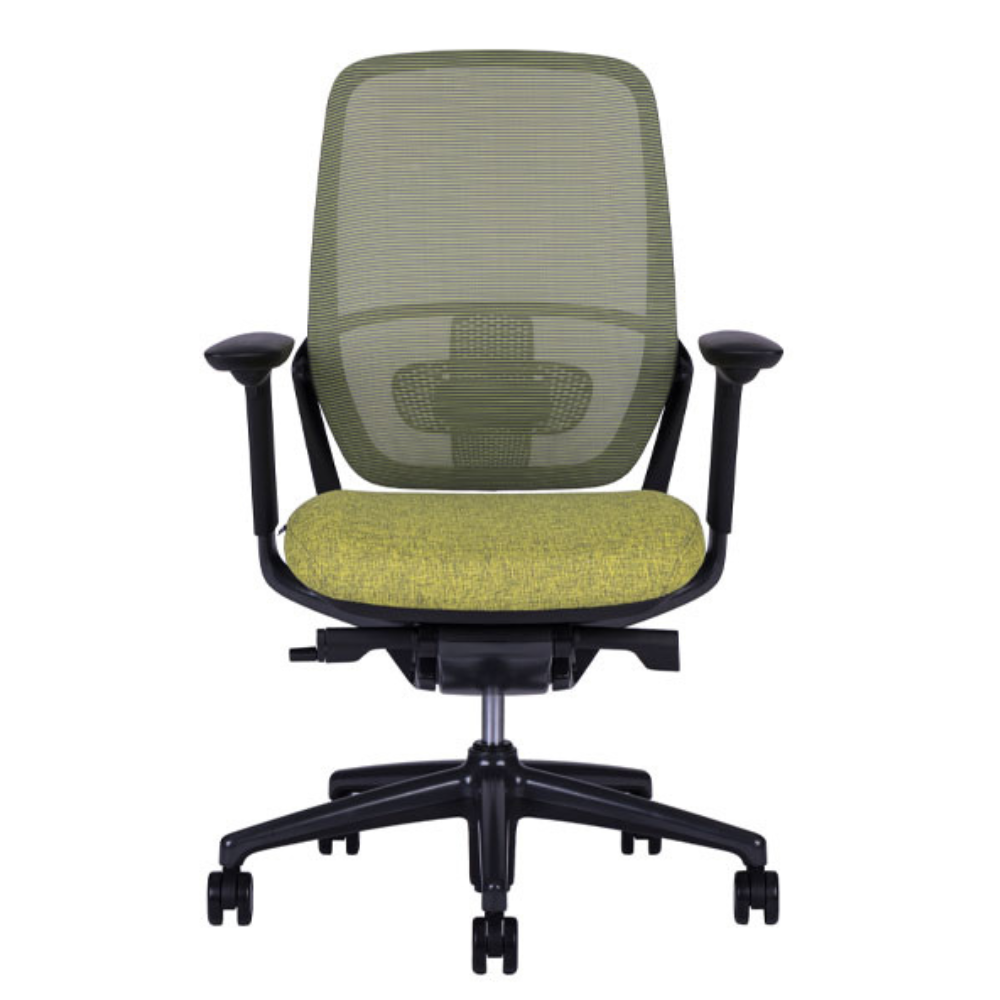 Silla Directiva Legend Onix Respaldo Bajo