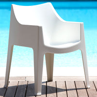Silla Coccolona