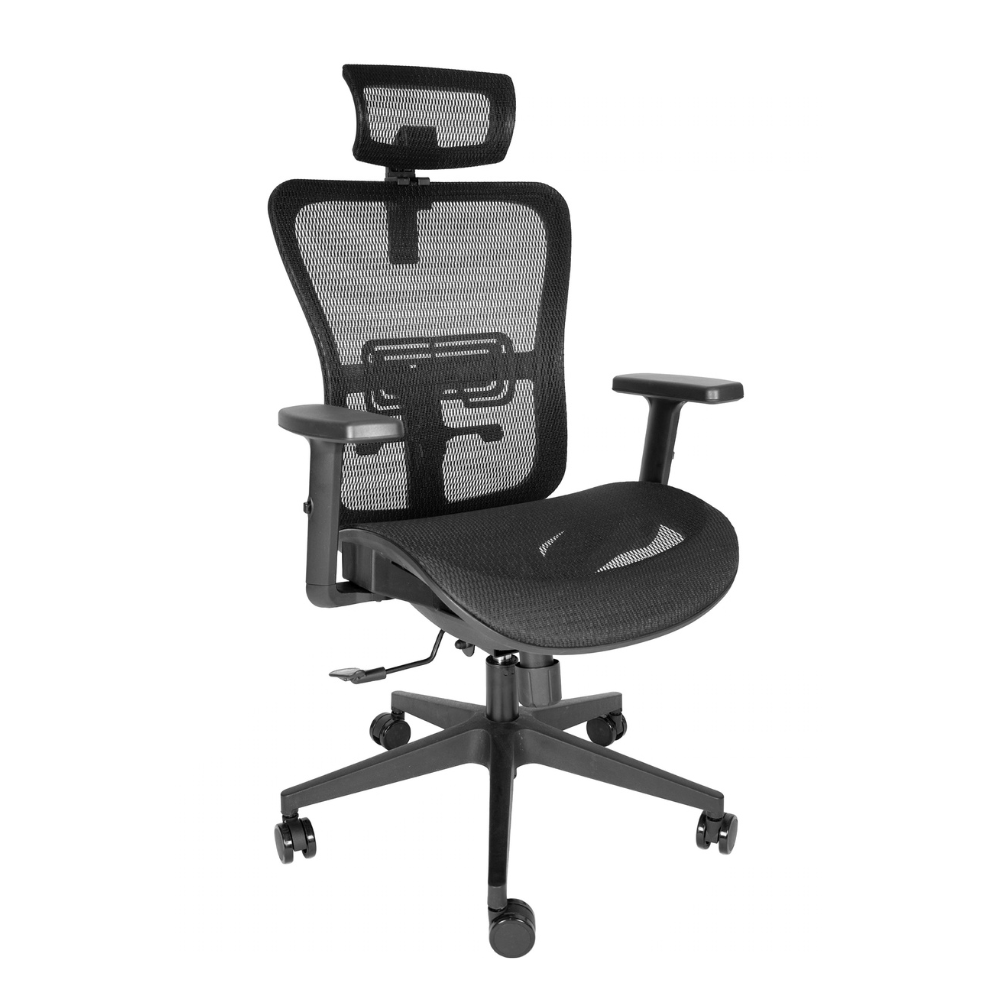 Silla Ejecutiva Draco cabecera