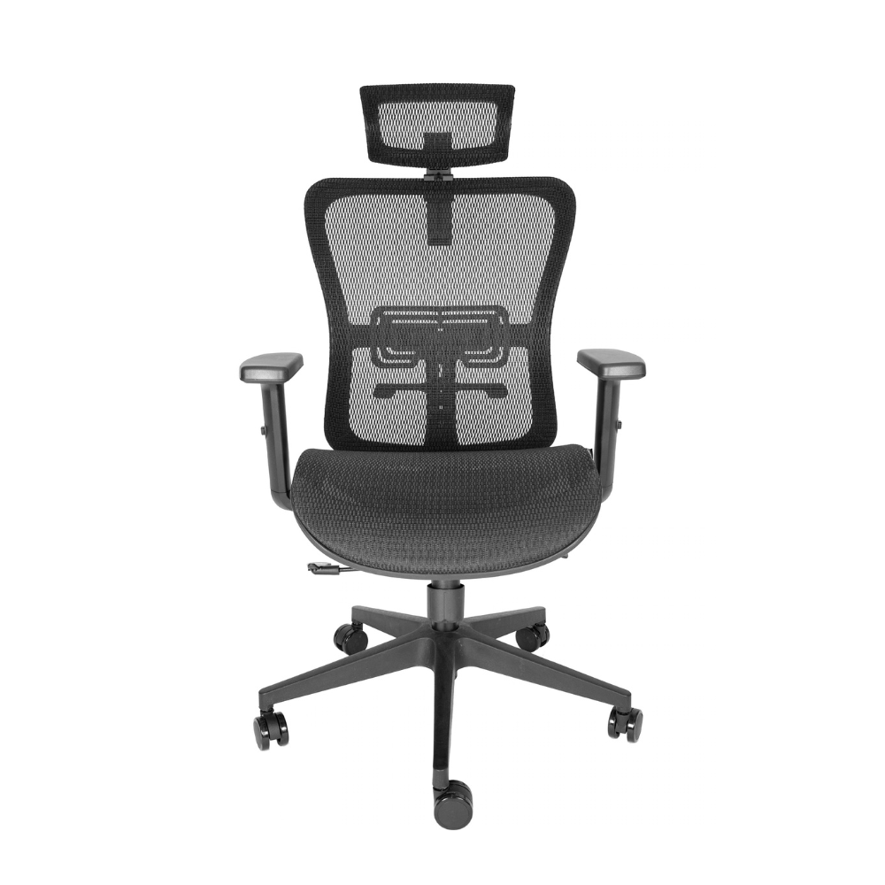 Silla Ejecutiva Draco cabecera
