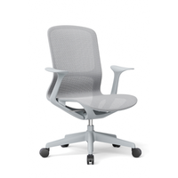 Silla Ejecutiva Rainbow mesh