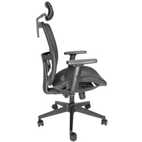 Sillón Draco Cabecera